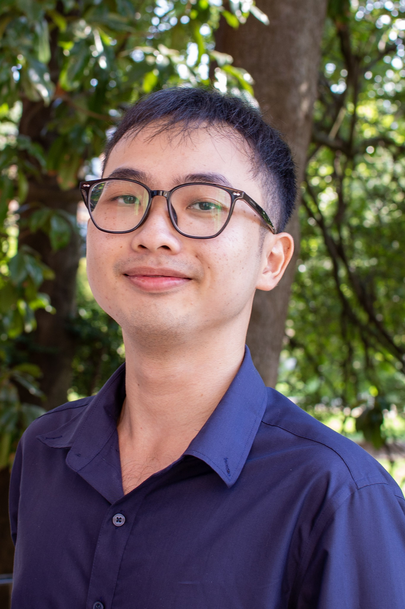 Hoang Trieu